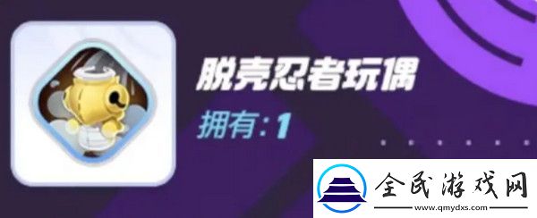 宝可梦大集结对战道具有哪些
