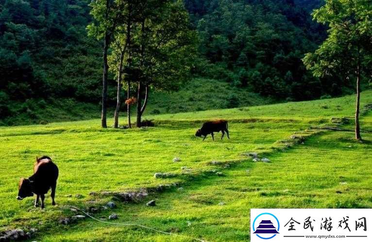 伊春园一路二路三路入口：风景与便捷的汇聚处