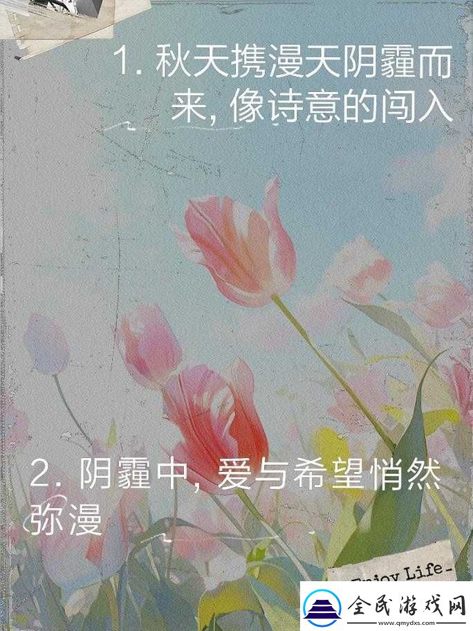 今夜无人入睡：爱与希望的交织