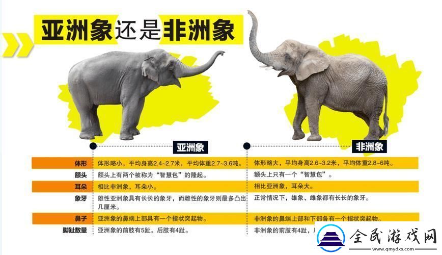 一区二区大象SCI