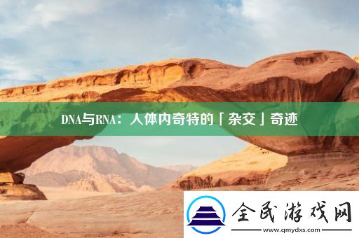 DNA与RNA：人体内奇特的「杂交」奇迹