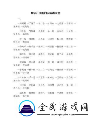 一个四一个大是什么成语