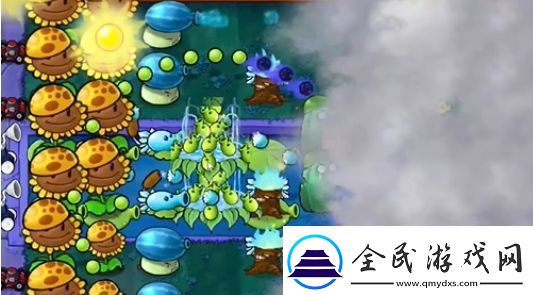 植物大战僵尸杂交版冒险模式第18关怎么过