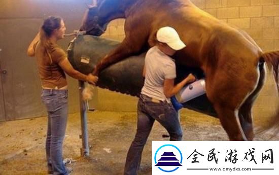 配马全过程：一场悄无声息的科技舞会