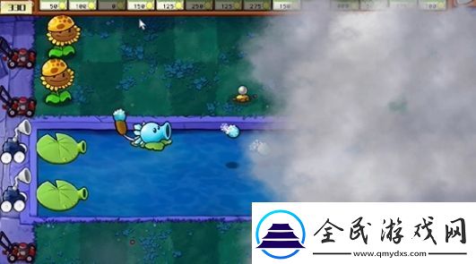 植物大战僵尸杂交版冒险模式第18关怎么过