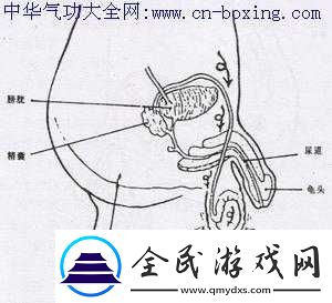 怎样才能交而不泄：探寻持久之法