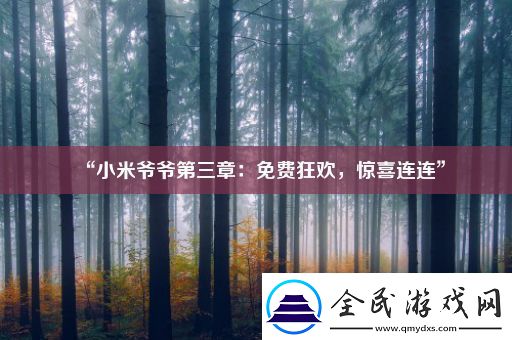 “小米**第三章