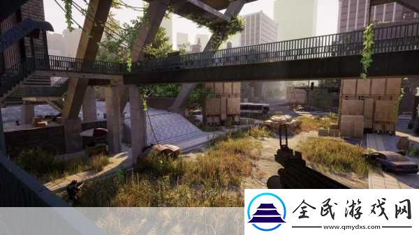 Eximius夺取前线配置要求高吗-游戏玩家必知的热门探讨