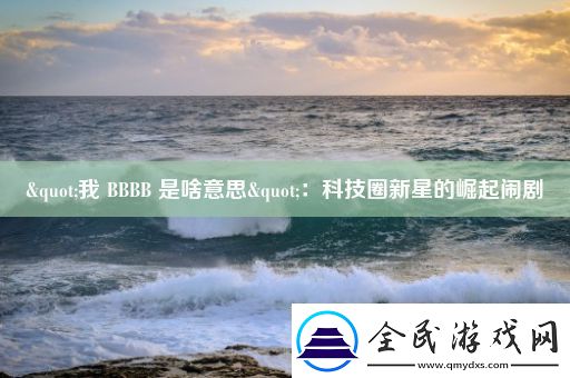 "我-BBBB-是啥意思"：科技圈新星的崛起闹剧