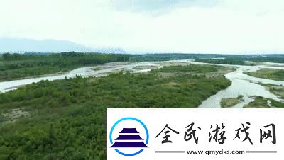探索免费X站的宝藏：发现无限可能