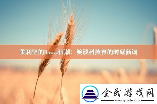 美利坚的Breazz狂潮：笑谈科技界的时髦新词