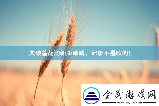 大破莲花洞新版破解-记录不是吹的！