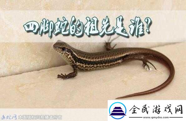 民间说法称清明蔗毒过蛇真正原因是-背后的科学秘密