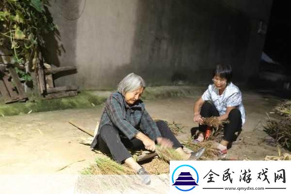 耕耘大婶的肥沃的土地：耕耘大婶的肥沃土地：丰收背后的秘密