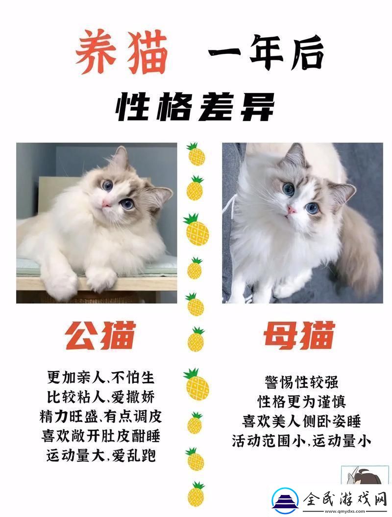 猫界翘楚大对决：猫咪3.0的逆袭2.0版哭晕在厕所！