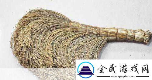 探索古代清洁之谜-扫帚的起源与发展