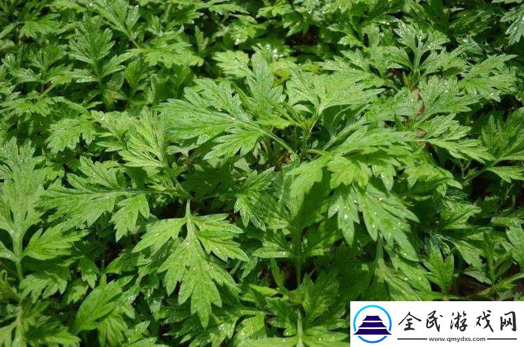 在逃生游戏里花式挨草桃子灯