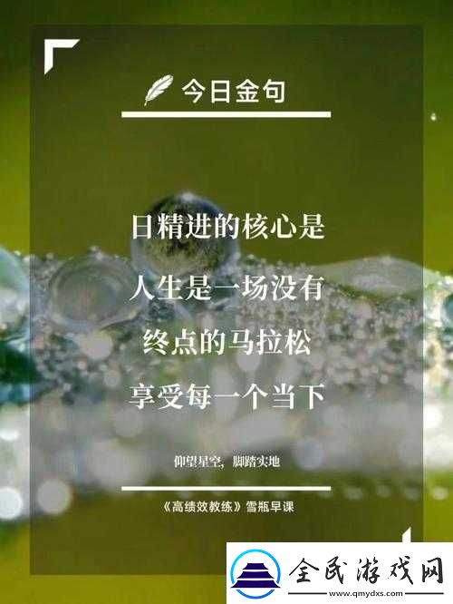 日日精进久久为功：持之以恒成就未来