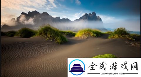 v1781ca是什么-了解它的功能与应用