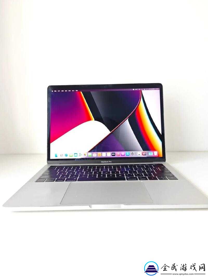 1213-岁-macbook-日本：探索其独特魅力