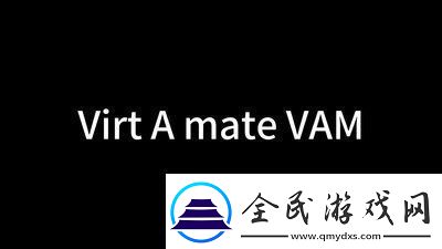 virtamate怎么玩h无限数码