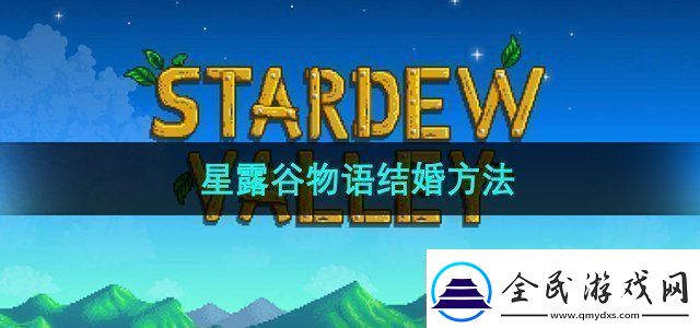 星露谷物语怎么结婚-结婚方法介绍
