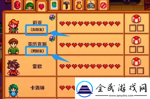 星露谷物语怎么结婚