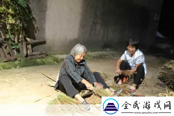 耕耘大婶的肥沃的土地：1.-耕耘大婶的肥沃土地：丰收背后的秘密