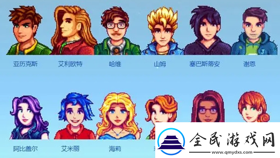 星露谷物语怎么结婚