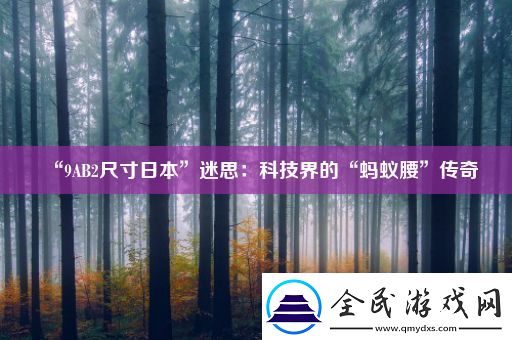 “9AB2尺寸日本”迷思：科技界的“蚂蚁腰”传奇