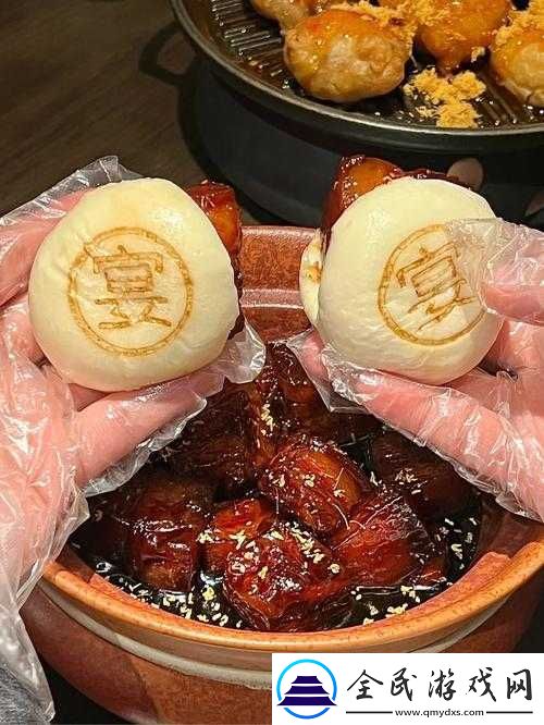 太子宠妾高肉红烧肉包讲的什么：背后的秘密
