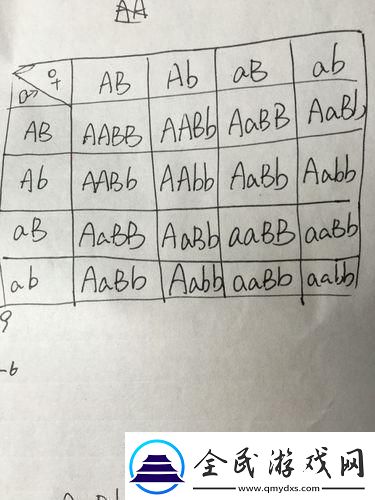 AABB与AAAA的差异：科技界的“辣条”大比拼