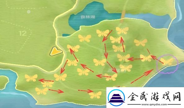 心动小镇金光宝石丽金龟在哪捕捉