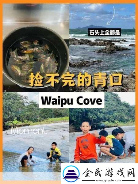 小扫货水怎么多叫出来-小扫货的秘诀：如何提升购物技巧-避免无谓支出