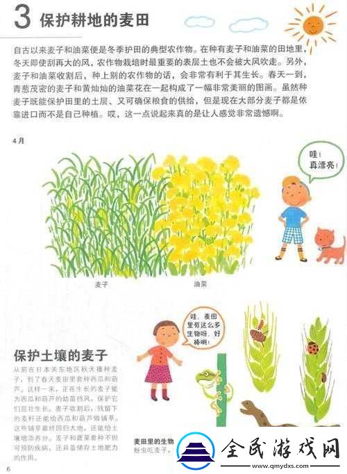 兄弟换麦子-4：以物换物的别样故事