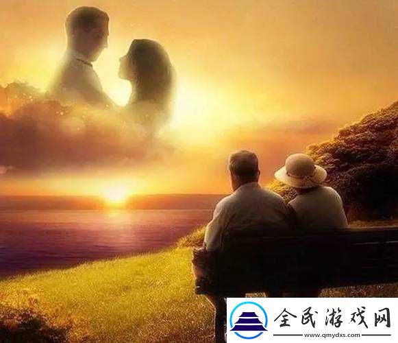 JAVAPARSERHD夫妻：携手相伴的人生