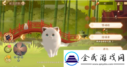 忘川风华录名士猫怎么获得