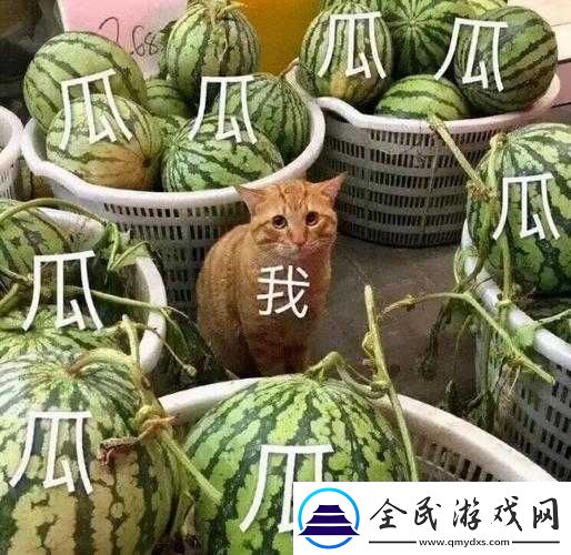 51吃瓜热门吃瓜：这些瓜你都吃了吗