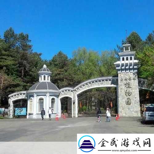 如何进入伊春园2023：1.如何顺利进入伊春园畅游自然之美
