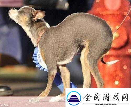 弯着腰弓着身子的样子-1.-低头弯腰-生活中的隐秘角落
