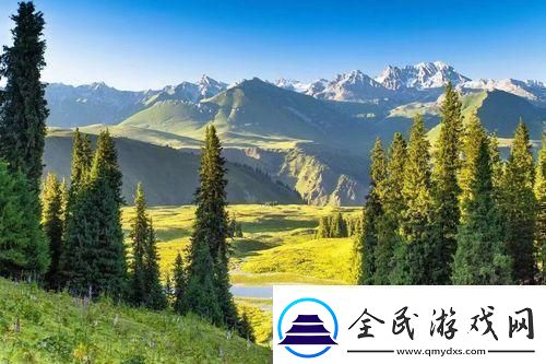 “新疆XLXL-上热炒-游戏解说界的新疆style！”