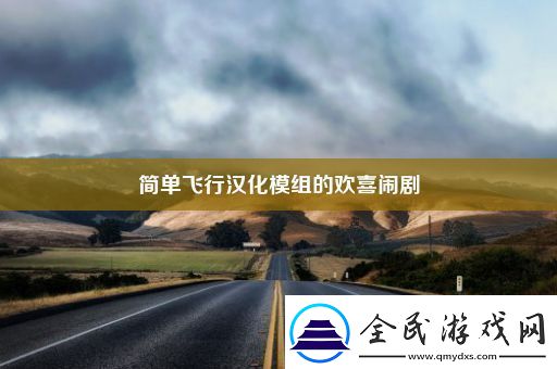 简单飞行汉化模组的欢喜闹剧