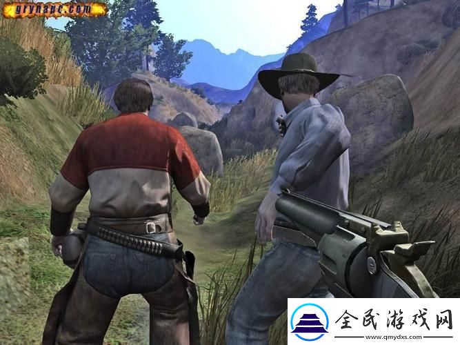 深入探索全流程图文攻略指南