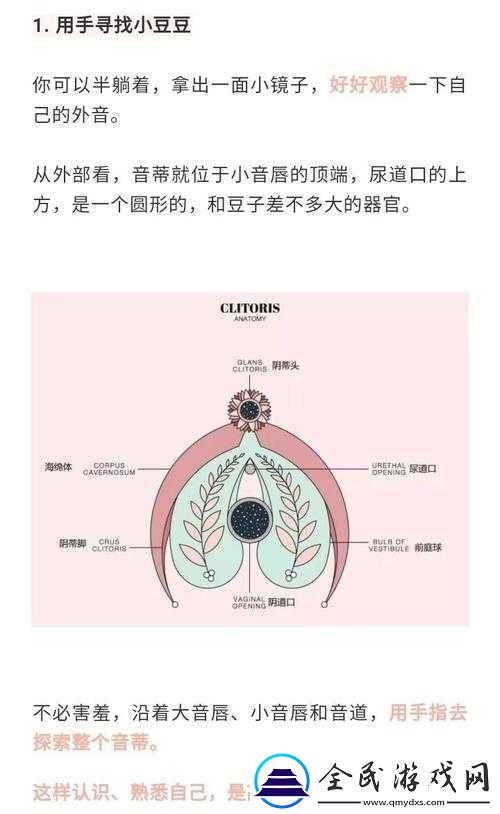 怎么让小豆豆变大的方法