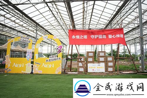 永恒之塔携手玩家登陆“上海猫岛”参与公益项目关爱社区流浪猫