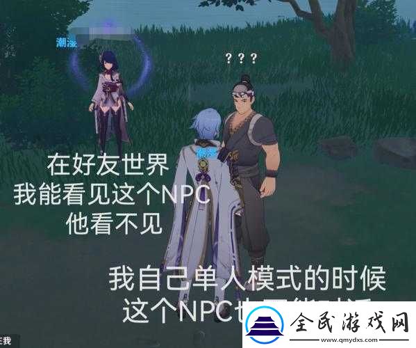 NPC-大佬日常浇灌点滴