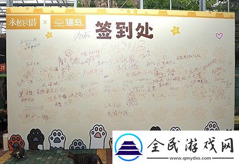 永恒之塔携手玩家登陆“上海猫岛”参与公益项目关爱社区流浪猫