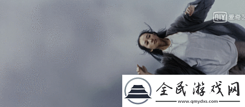 卧虎藏龙贰