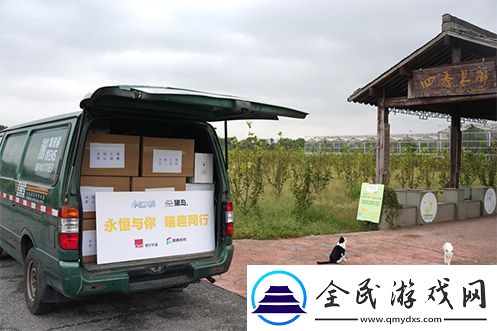 永恒之塔携手玩家登陆“上海猫岛”参与公益项目关爱社区流浪猫