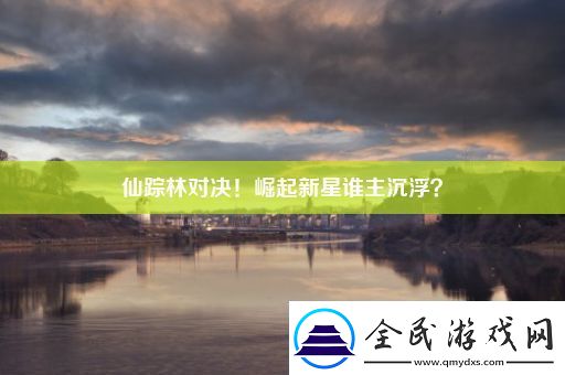 仙踪林对决！崛起新星谁主沉浮
